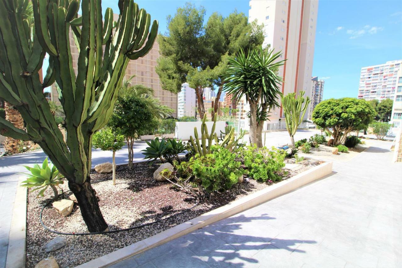 Atico Levante Torre Montecarlo Benidorm Buitenkant foto
